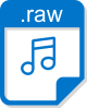 RAW Image File Format